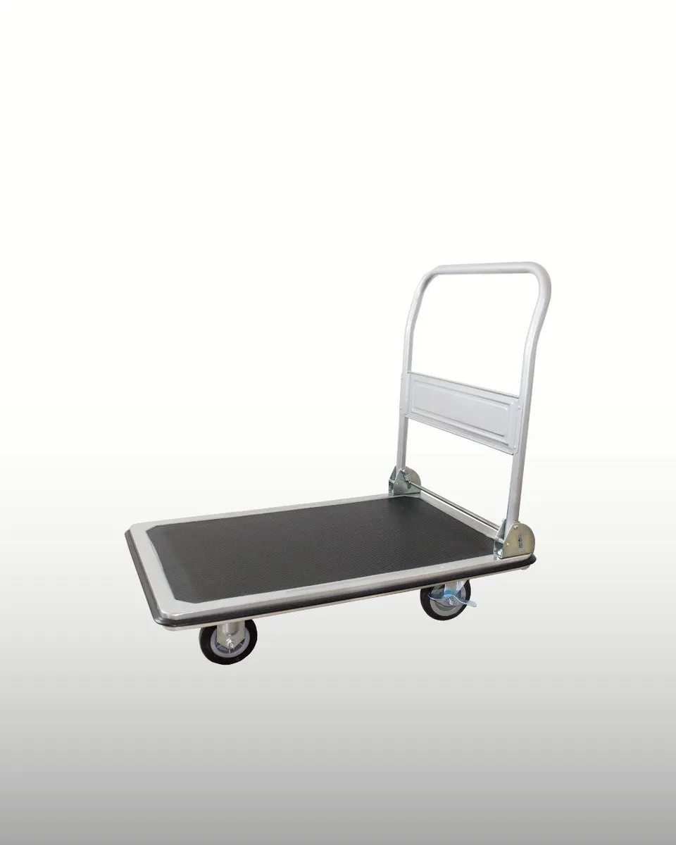 pro-bau-tec-plattformwagen-14005-transportwagen-250-kg-grau image 1
